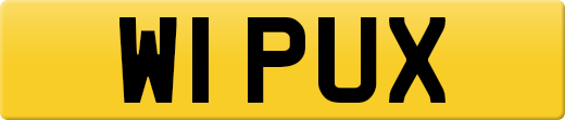 W1PUX