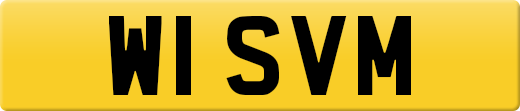 W1SVM