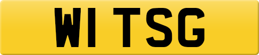 W1TSG