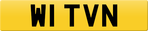 W1TVN