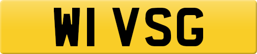 W1VSG