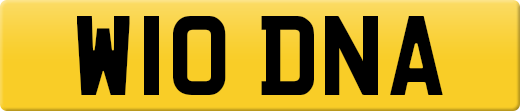 W10DNA