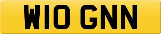 W10GNN