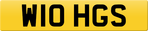 W10HGS
