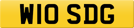 W10SDG