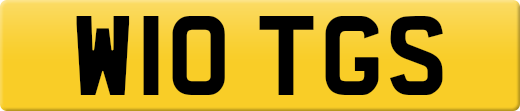 W10TGS