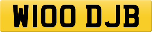W100DJB