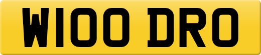 W100DRO