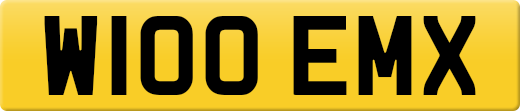 W100EMX