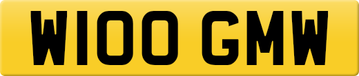 W100GMW