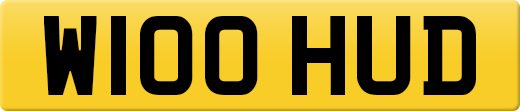 W100HUD