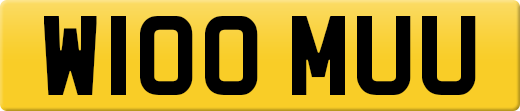 W100MUU