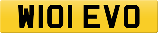 W101EVO