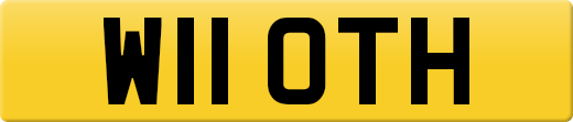 W11OTH
