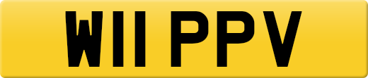 W11PPV
