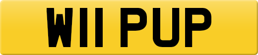 W11PUP