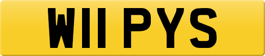 W11PYS