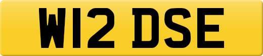 W12DSE
