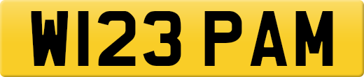 W123PAM