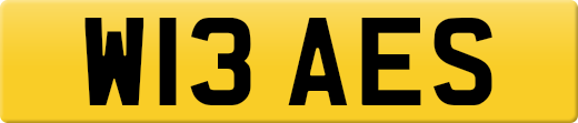 W13AES