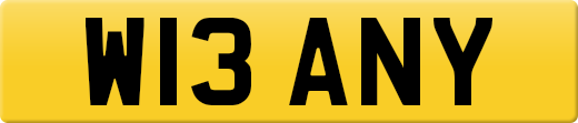 W13ANY