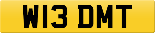 W13DMT