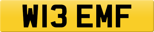 W13EMF