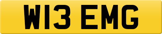 W13EMG