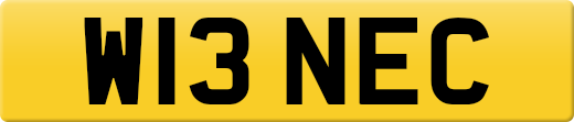 W13NEC