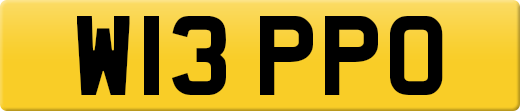 W13PPO
