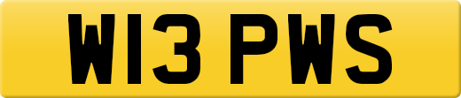W13PWS