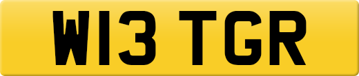 W13TGR