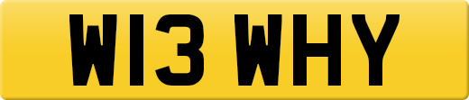 W13WHY