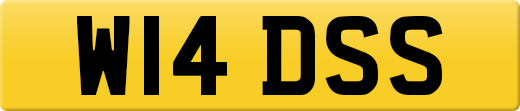 W14DSS