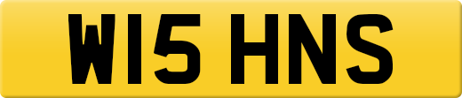 W15HNS