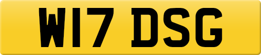W17DSG
