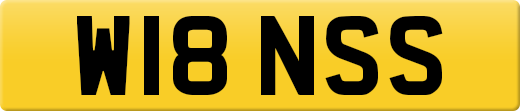 W18NSS