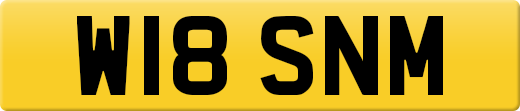 W18SNM