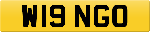 W19NGO