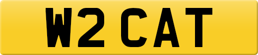 W2CAT