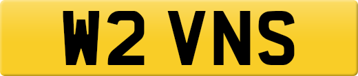 W2VNS