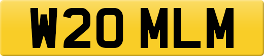 W20MLM
