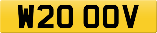 W20OOV