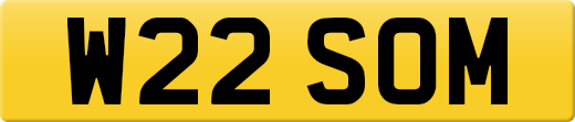 W22SOM