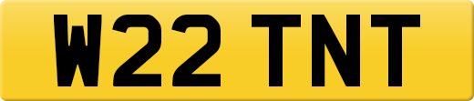W22TNT