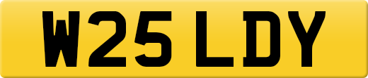 W25LDY