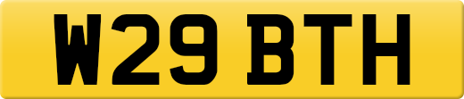 W29BTH