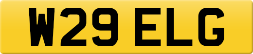 W29ELG