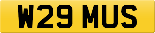 W29MUS