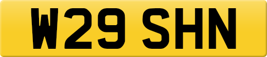 W29SHN